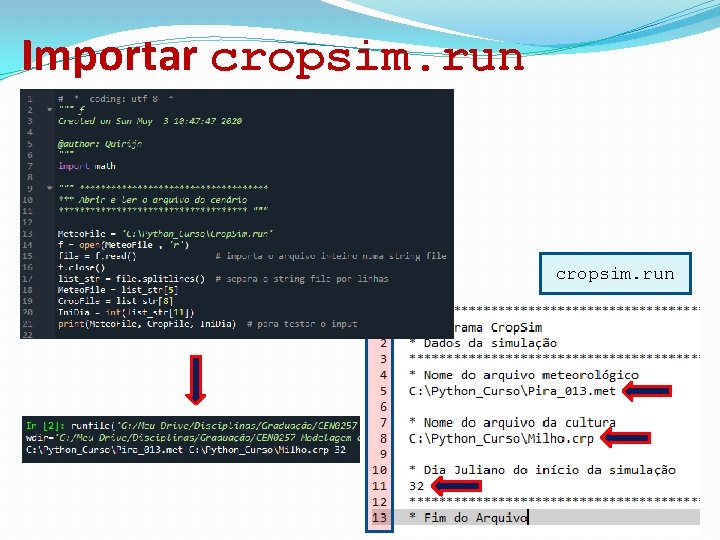 Importar cropsim. run 