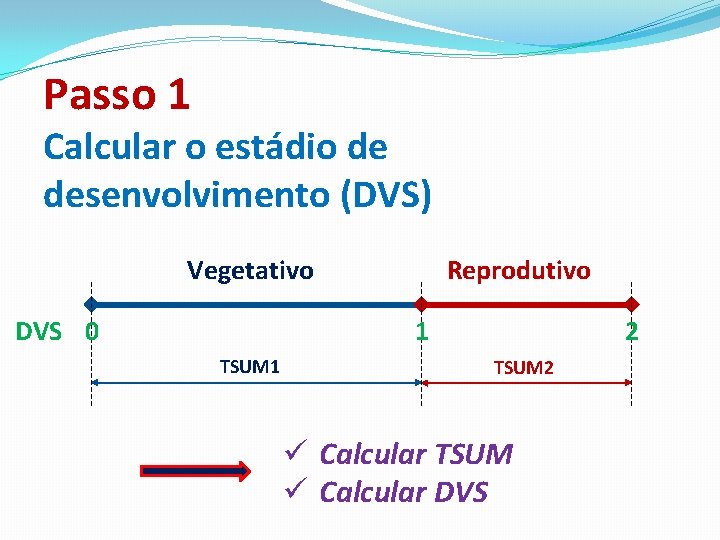 Passo 1 Calcular o estádio de desenvolvimento (DVS) Reprodutivo Vegetativo DVS 0 1 TSUM