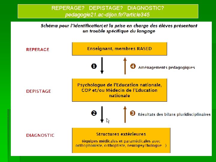 REPERAGE? DEPISTAGE? DIAGNOSTIC? pedagogie 21. ac-dijon. fr/? article 345 