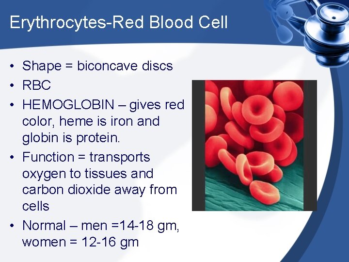 Erythrocytes-Red Blood Cell • Shape = biconcave discs • RBC • HEMOGLOBIN – gives