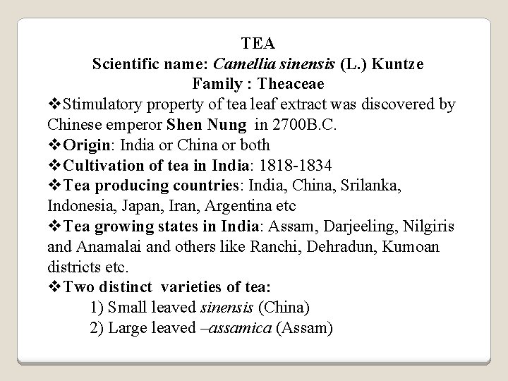 TEA Scientific name: Camellia sinensis (L. ) Kuntze Family : Theaceae v. Stimulatory property