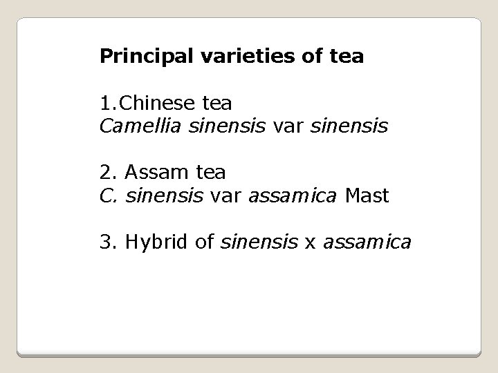 Principal varieties of tea 1. Chinese tea Camellia sinensis var sinensis 2. Assam tea