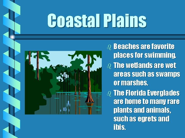 Coastal Plains b Beaches are favorite places for swimming. b The wetlands are wet