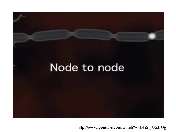 http: //www. youtube. com/watch? v=DJe 3_3 Xs. BOg 