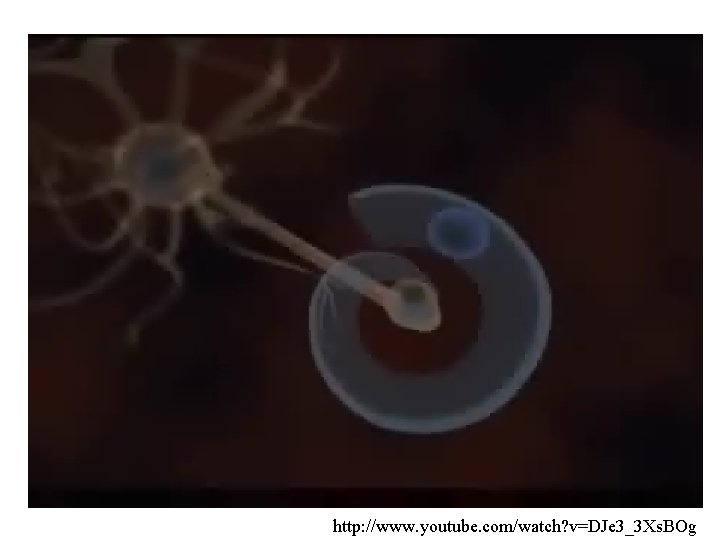 http: //www. youtube. com/watch? v=DJe 3_3 Xs. BOg 