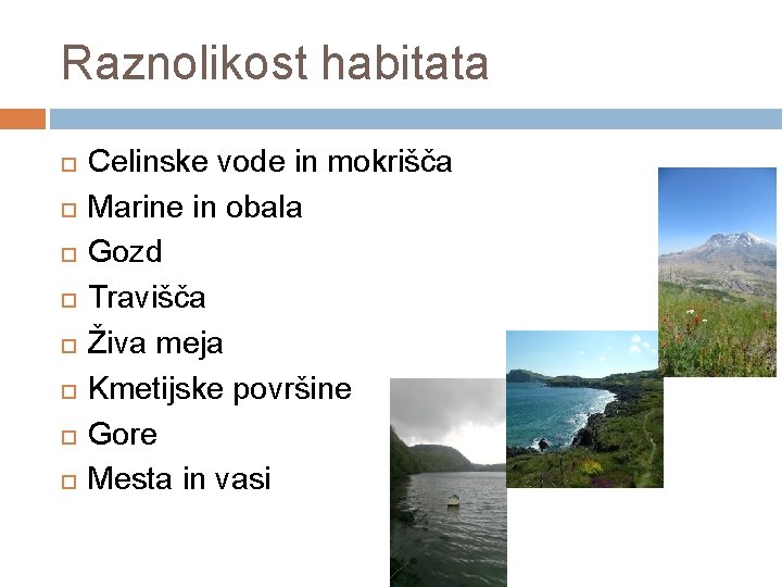 Raznolikost habitata Celinske vode in mokrišča Marine in obala Gozd Travišča Živa meja Kmetijske