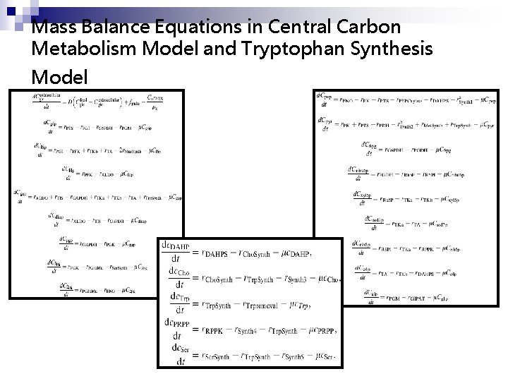 Mass Balance Equations in Central Carbon Metabolism Model and Tryptophan Synthesis Model 