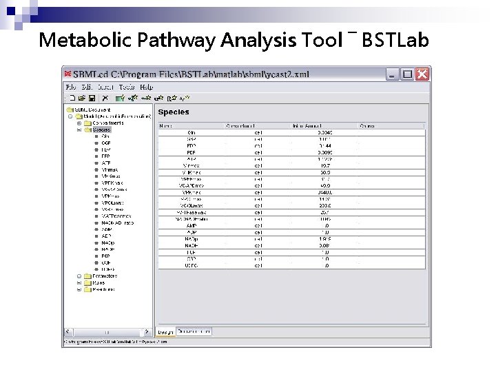 Metabolic Pathway Analysis Tool ― BSTLab 