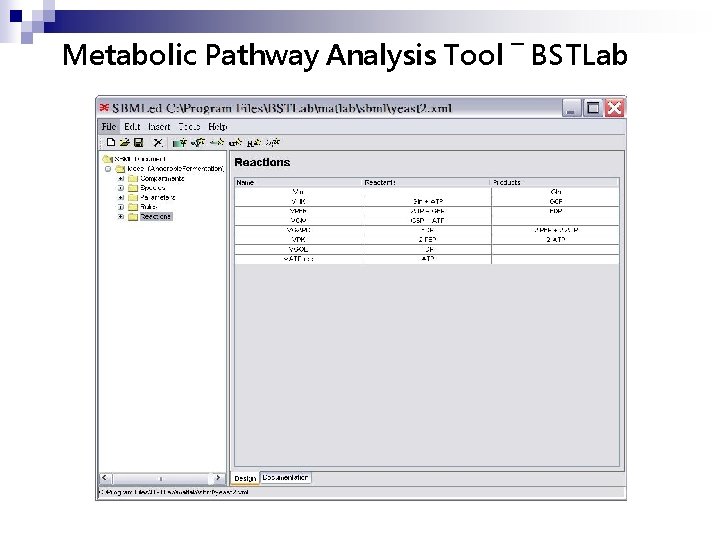 Metabolic Pathway Analysis Tool ― BSTLab 