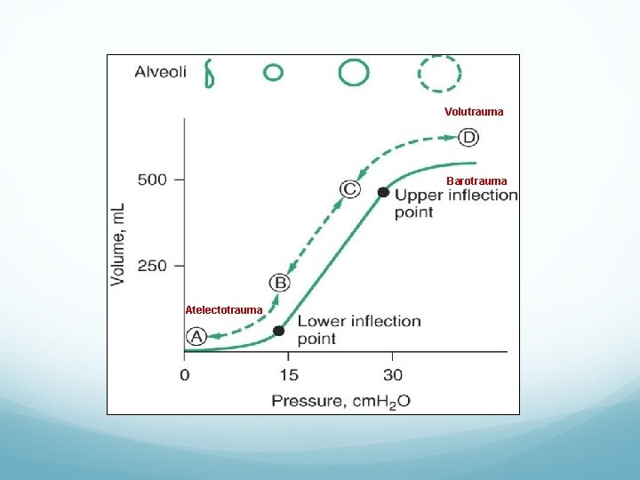 Volutrauma Barotrauma Atelectotrauma 