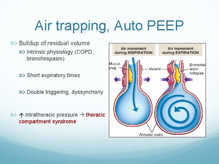 Air trapping, Auto PEEP Buildup of residual volume Intrinsic physiology (COPD, bronchospasm) Short expiratory