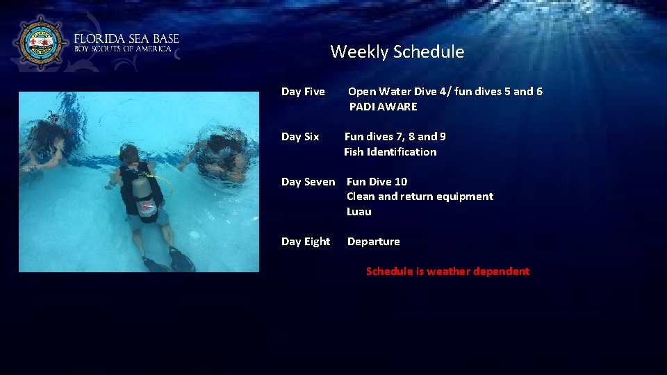 Weekly Schedule Day Five Day Six Open Water Dive 4/ fun dives 5 and