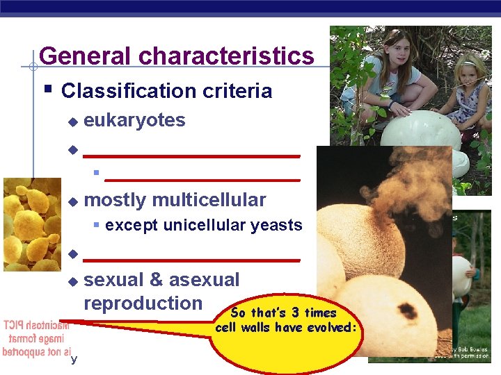 General characteristics § Classification criteria eukaryotes u __________ u § ___________ u mostly multicellular