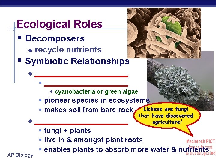 Ecological Roles § Decomposers u recycle nutrients § Symbiotic Relationships u __________ § ___________