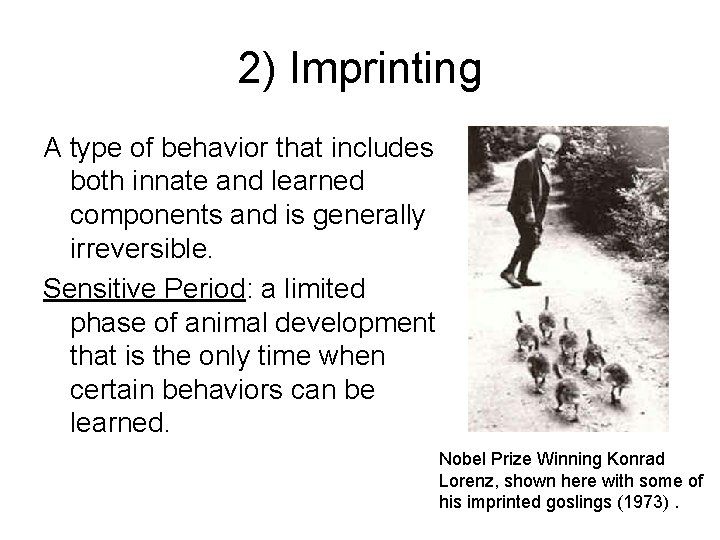 2) Imprinting A type of behavior that includes both innate and learned components and