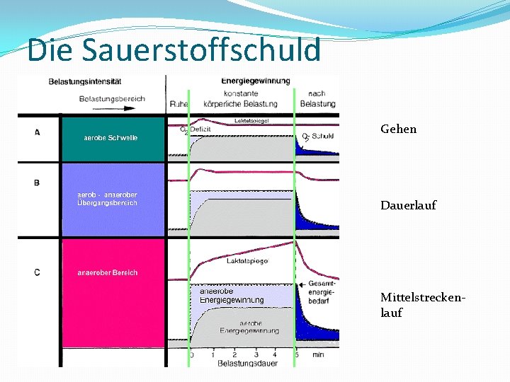 Die Sauerstoffschuld Gehen Dauerlauf Mittelstreckenlauf 