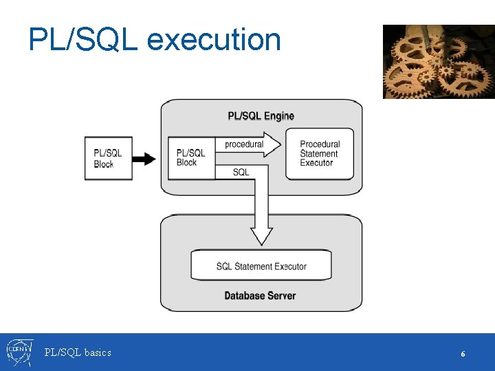 PL/SQL execution PL/SQL basics 6 