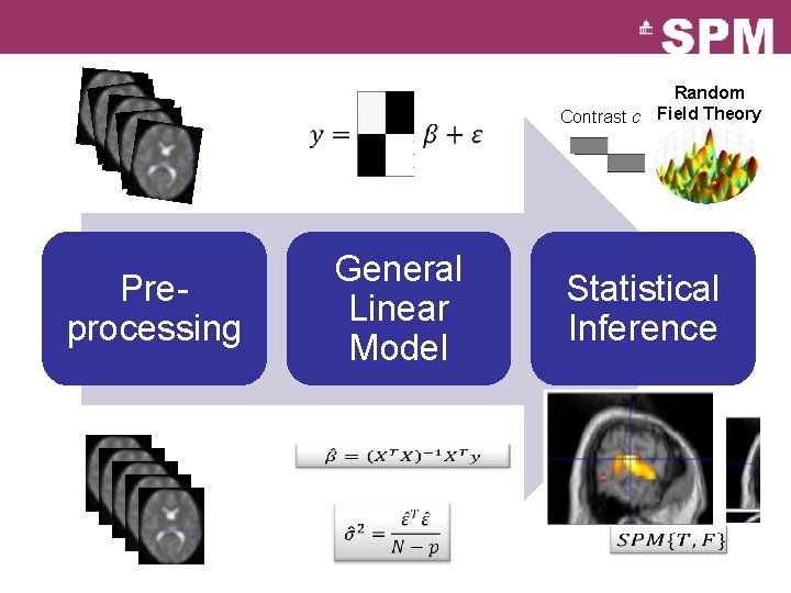 Random Contrast c Field Theory General Linear Model Preprocessing Statistical Inference 