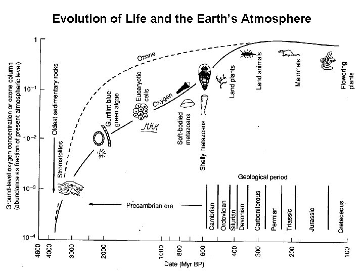 Evolution of Life and the Earth’s Atmosphere 