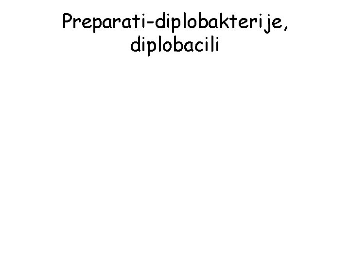 Preparati-diplobakterije, diplobacili 