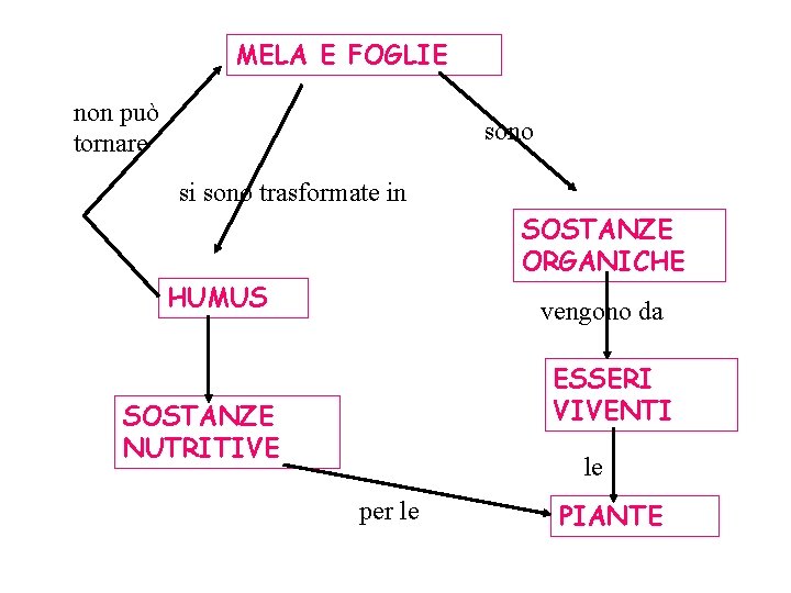 MELA E FOGLIE non può tornare sono si sono trasformate in SOSTANZE ORGANICHE HUMUS