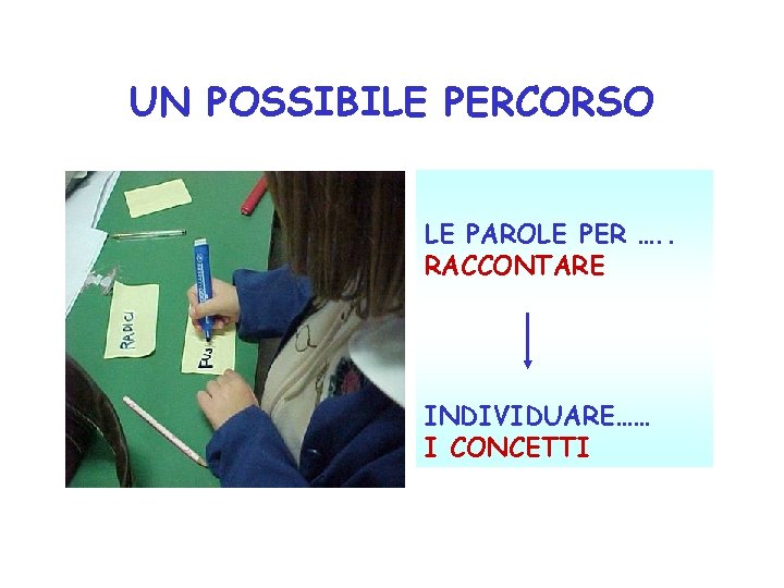 UN POSSIBILE PERCORSO LE PAROLE PER …. . RACCONTARE INDIVIDUARE…… I CONCETTI 