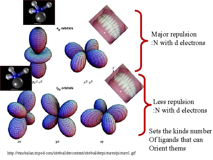 Major repulsion : N with d electrons Less repulsion : N with d electrons