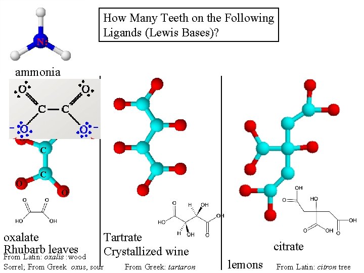 How Many Teeth on the Following Ligands (Lewis Bases)? N: ammonia O O C