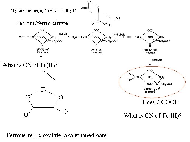 http: //aem. asm. org/cgi/reprint/59/1/109. pdf Ferrous/ferric citrate What is CN of Fe(II)? Fe O