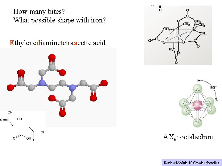 How many bites? What possible shape with iron? Ethylenediaminetetraacetic acid AX 6: octahedron Review