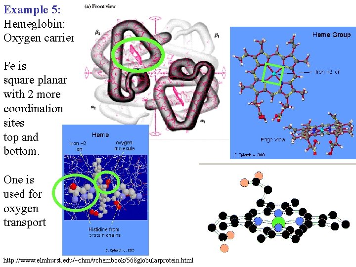 Example 5: Hemeglobin: Oxygen carrier Fe is square planar with 2 more coordination sites