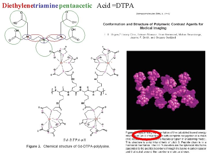 Diethylenetriaminepentaacetic Acid =DTPA 