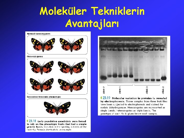 Moleküler Tekniklerin Avantajları 