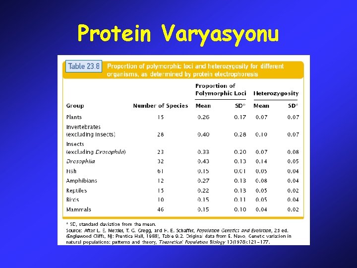 Protein Varyasyonu 