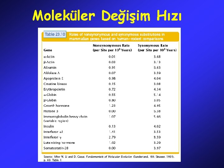 Moleküler Değişim Hızı 