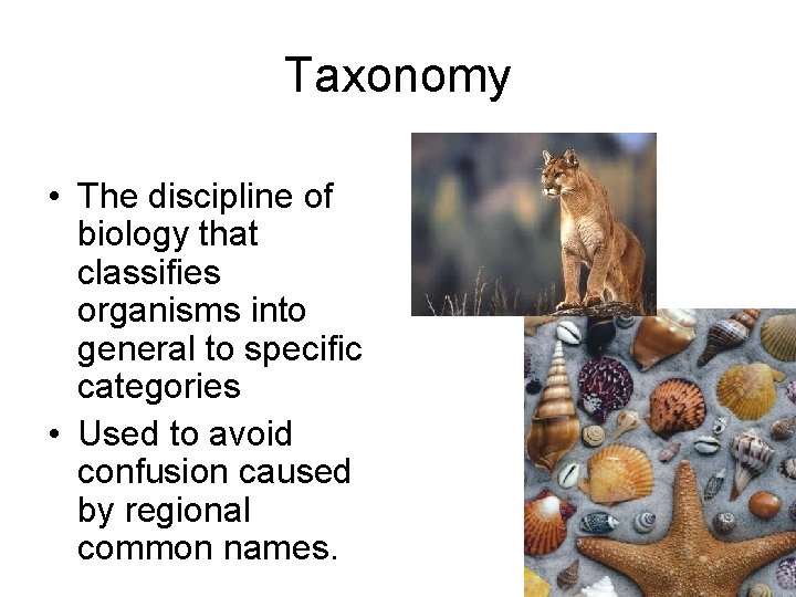 Taxonomy • The discipline of biology that classifies organisms into general to specific categories Taxonomy • The discipline of biology that classifies organisms into general to specific categories