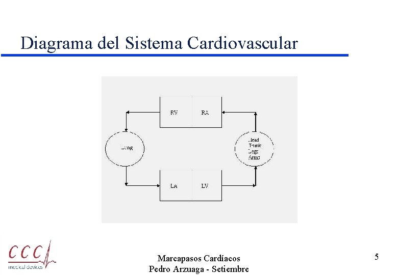Diagrama del Sistema Cardiovascular Marcapasos Cardíacos Pedro Arzuaga - Setiembre 5 