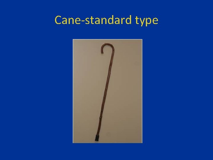 Cane-standard type 