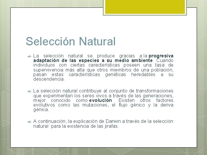 Selección Natural La selección natural se produce gracias a la progresiva adaptación de las