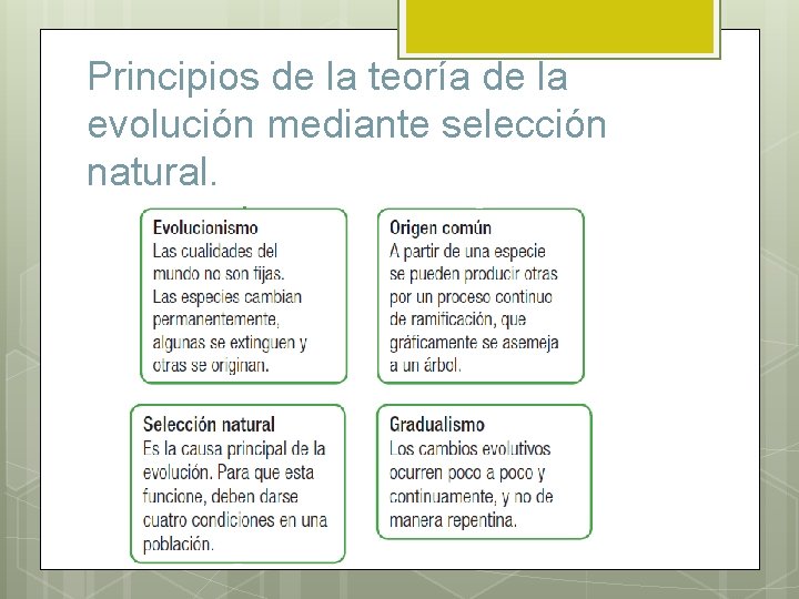 Principios de la teoría de la evolución mediante selección natural. 