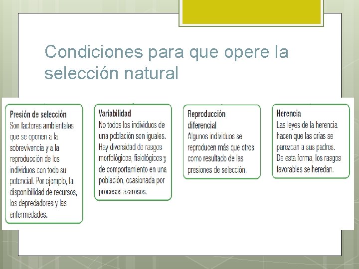 Condiciones para que opere la selección natural 