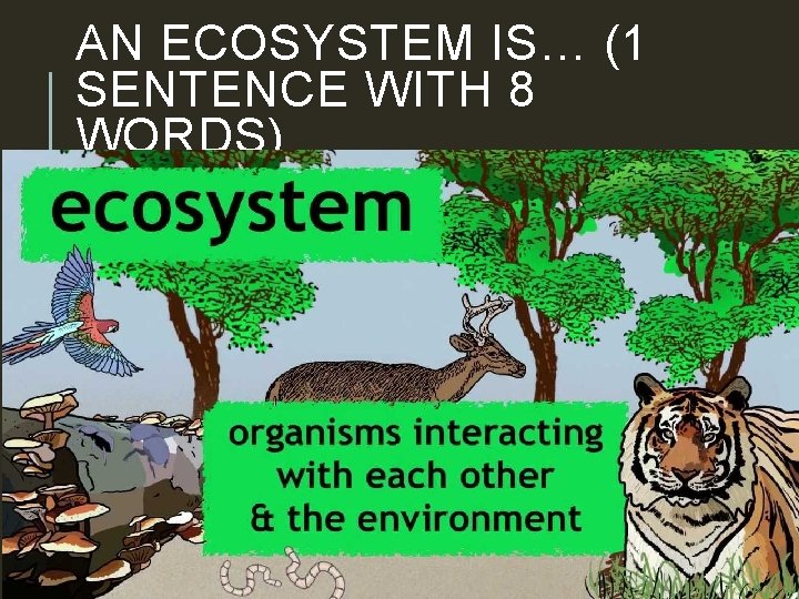 AN ECOSYSTEM IS… (1 SENTENCE WITH 8 WORDS) 