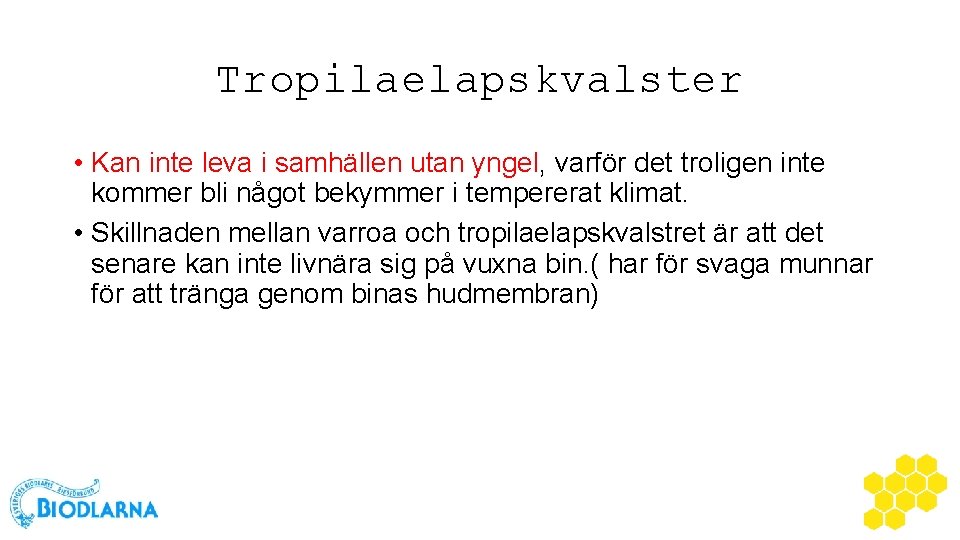 Tropilaelapskvalster • Kan inte leva i samhällen utan yngel, varför det troligen inte kommer