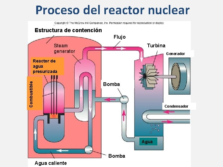Proceso del reactor nuclear Estructura de contención Flujo Turbina Generador Combustible Reactor de agua