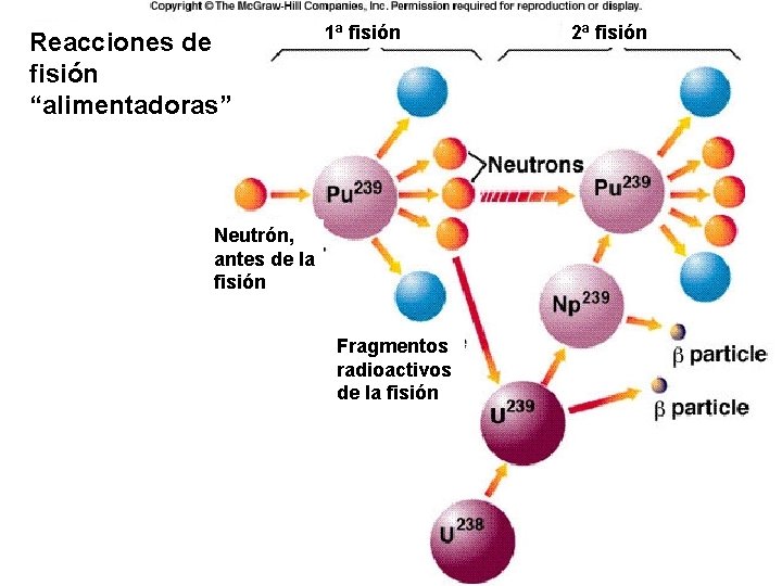 Reacciones de fisión “alimentadoras” 1ª fisión Neutrón, antes de la fisión Fragmentos radioactivos de