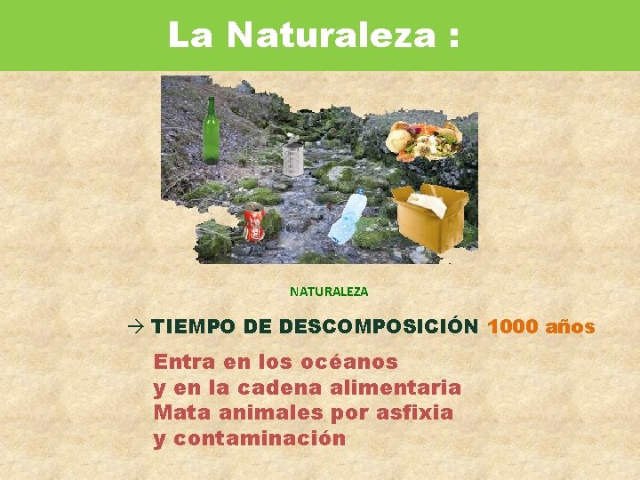 La Naturaleza : NATURALEZA TIEMPO DE DESCOMPOSICIÓN 1000 años Entra en los océanos y