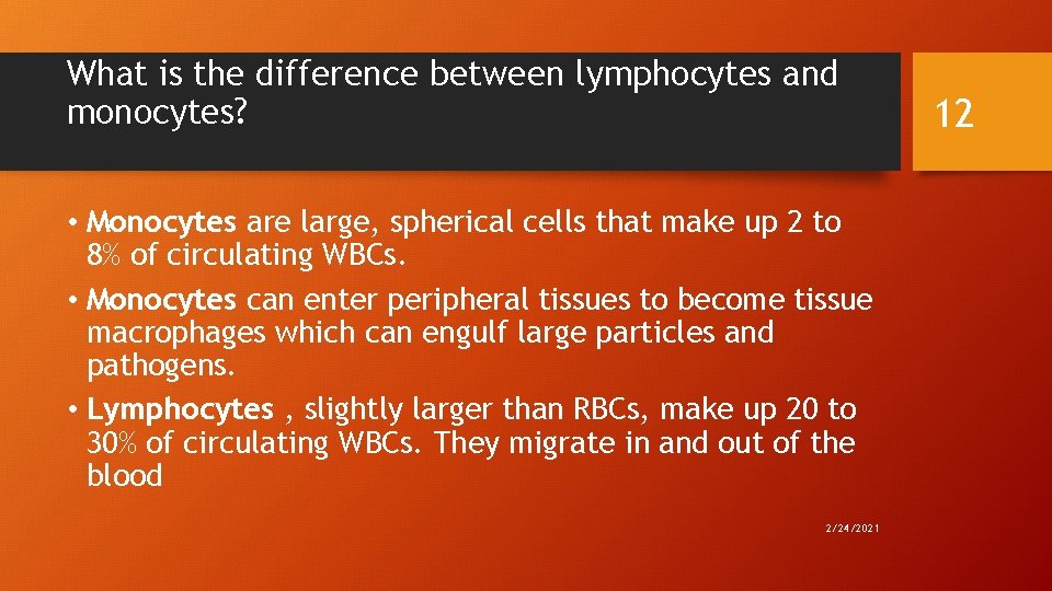 What is the difference between lymphocytes and monocytes? • Monocytes are large, spherical cells