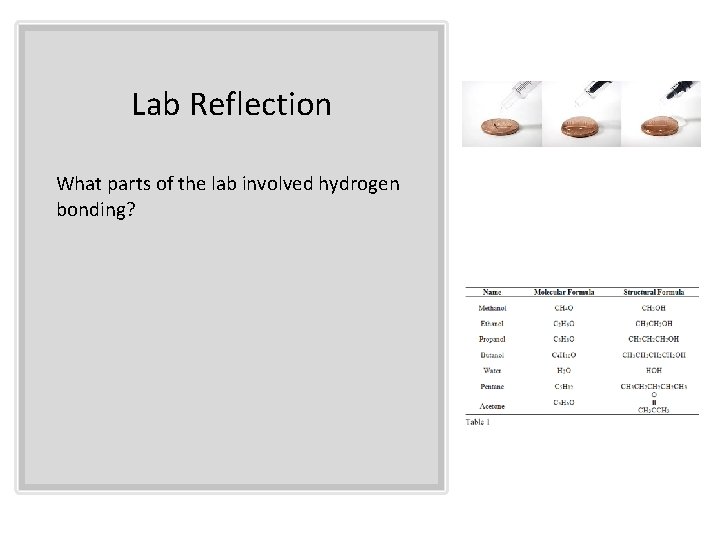 Lab Reflection What parts of the lab involved hydrogen bonding? 