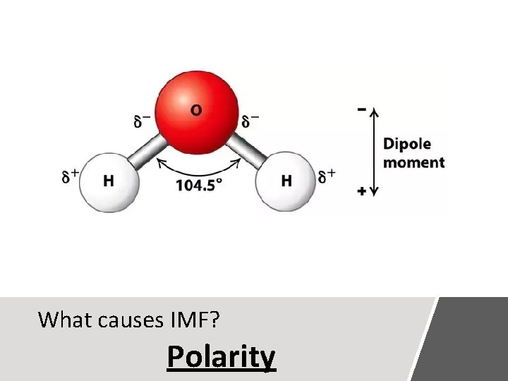 What causes IMF? Polarity 