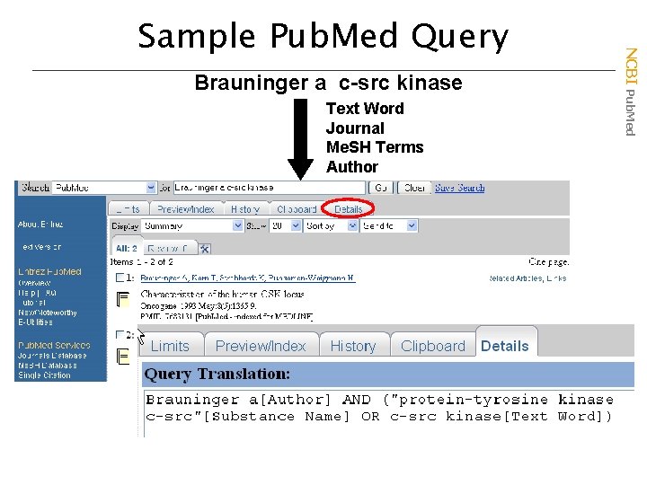 Brauninger a c-src kinase Text Word Journal Me. SH Terms Author NCBI Pub. Med